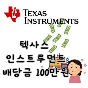 텍사스-인스트루먼트-배당금-100만원